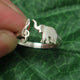 Treble Clef Music and Elephant Ring