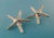 Starfish Post Earrings in Sterling Silver or Sea Star Earrings - Very Elegant