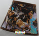 Western American Indian Horses Fabric Lamp Shade