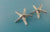 Starfish Ear Wire Earrings, Sterling Silver Starfish Earrings, Sea Star Earrings, Beach Design, Wedding Jewelry