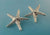 Starfish Post Earrings in Sterling Silver or Sea Star Earrings, Silver Starfish Earrings, Starfish Post Earrings