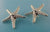 Starfish Ear Wire Earrings, Sterling Silver Starfish Earrings, Sea Star Earrings, Beach Design, Wedding Jewelry