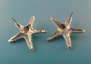 Starfish Post Earrings in Sterling Silver or Sea Star Earrings, Silver Starfish Earrings, Starfish Post Earrings