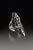 Fusion Starfish and Coral Saddle Ring, Starfish and Sea Fan Coral Ring