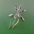 Ghost Orchid Pendant, Sterling Silver Ghost Orchid Pendant, Silver Orchid, Orchid Jewelry, Nature Jewelry