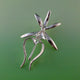 Ghost Orchid Pendant, Sterling Silver Ghost Orchid Pendant, Silver Orchid, Orchid Jewelry, Nature Jewelry